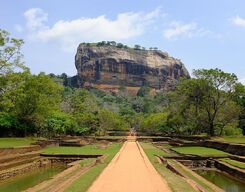 Sigiriya Rock & Wild Elephant Safari at Minneriya National Park Day Tour from Colombo