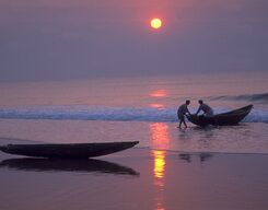 Explore Bhitarkanika National Park from Bhubaneswar – Odisha Wildlife Day Tour