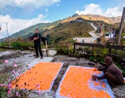 Sandakphu Trek