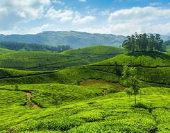 Munnar - Alleppey Houseboat - 3N/4D