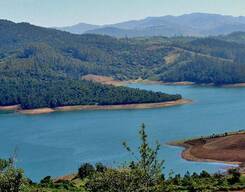 Ooty, Kodaikanal, Munnar - 6N/7D