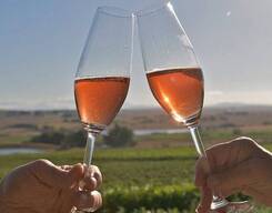 Nandi Hills Wine Tour - Weekdays