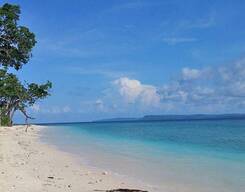 Neil Island Cruise and Neil Beaches Trip from Port Blair