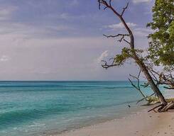Radhanagar Beach and Kalapathar Beach Day Tour