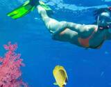 Guided Snorkeling at North Bay, Andamans