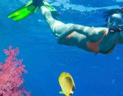 Guided Snorkeling at North Bay, Andamans