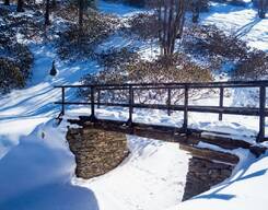 Kedarkantha Trek