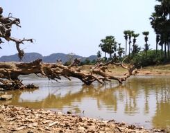 Lambasingi Sightseeing 2 Day Tour from Vishakhapatnam
