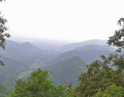 Lambasingi & Kothapalli Waterfall Tour from Visakhapatnam