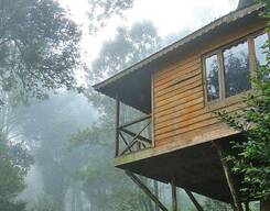 Munnar Tree House Honeymoon - 2 Nights/ 3 Days