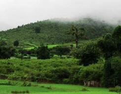 Similipal 3 Day Sightseeing tour from Puri with Drop at Balasore