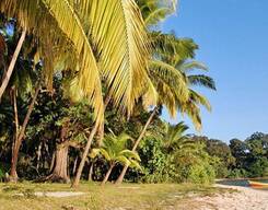 Rangat and Mayabunder 3 Days Trip from Port Blair