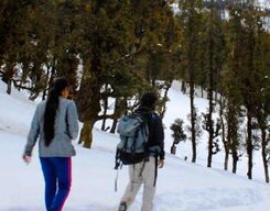 Trek To Devban From Dehradun