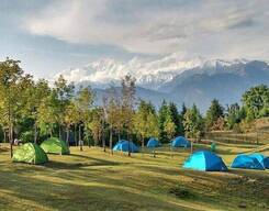 Deoriatal, Chopta & Chandrashila Trek-5 Days