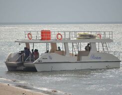 Boat Cruise Adventure in Goa