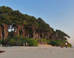 Andaman 6 Nights and 7 Days Package Tour