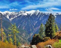 Shilt Hut Trek in GHNP - Tirthan Valley
