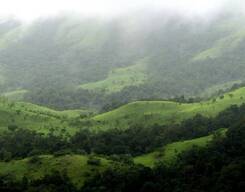 Kudremukh Trek (Ex. Kalasa)