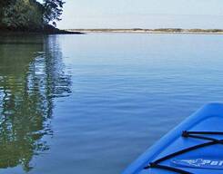 Kayaking Excursion at Chorao Bird Sanctuary, Goa