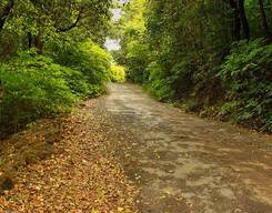 Lonavala to Lions Point/ Aamby Valley Bicycle Trip