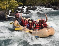 Dandeli Trip with Jungle Safari