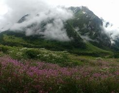 Valley Of Flowers Trek Ex Govindghat