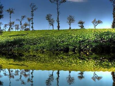Activities in Coorg