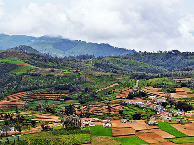 Activities in Ooty