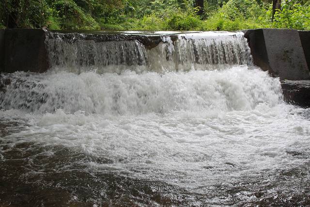 Dhoni Waterfalls, Palakkad