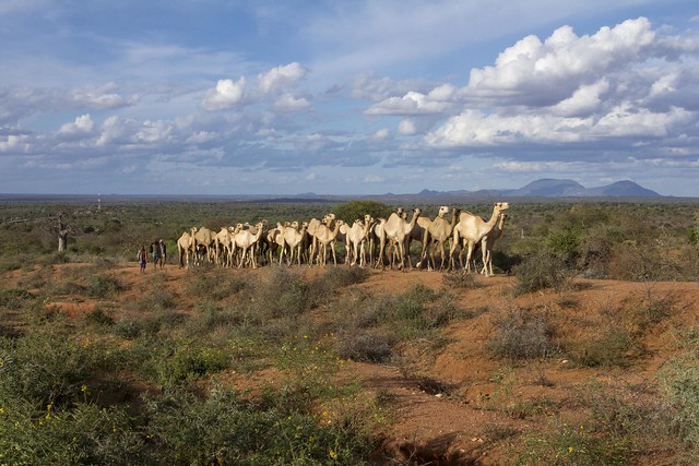 Boni National Reserve
