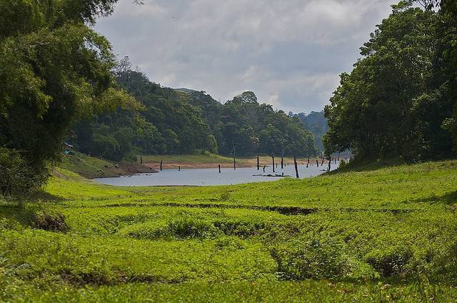 Periyar Wildlife Sanctuary