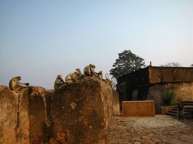 Ranthambor Fort