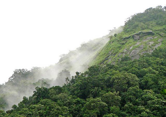 Agumbe