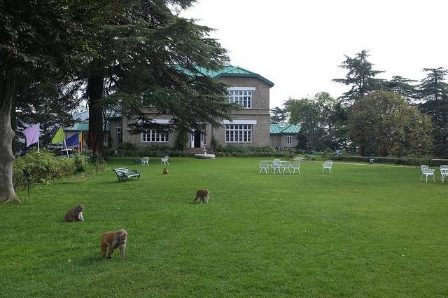 Chail Palace