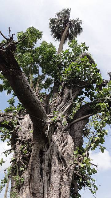 Sardar Patel Museum - Bardoli