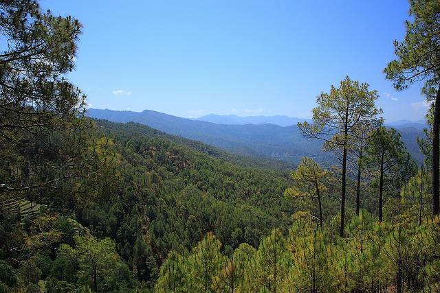 Binsar Wildlife Sanctuary