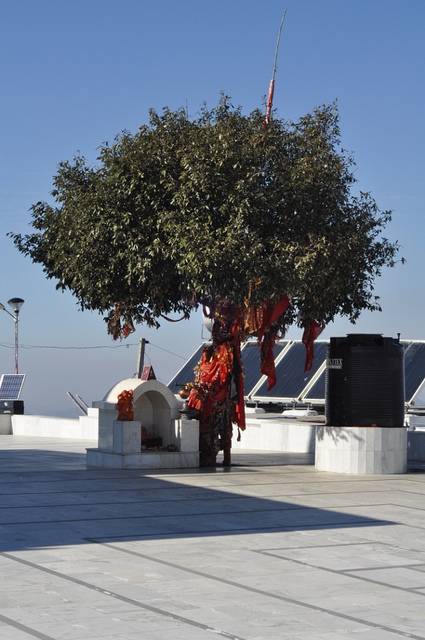 Kali ka Tibba, Chail