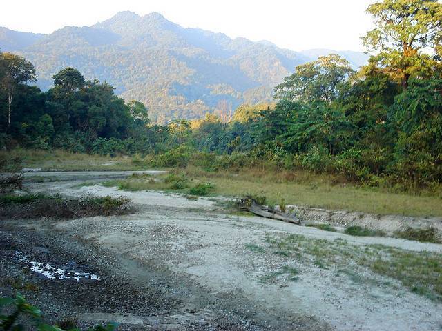 Manas National Park