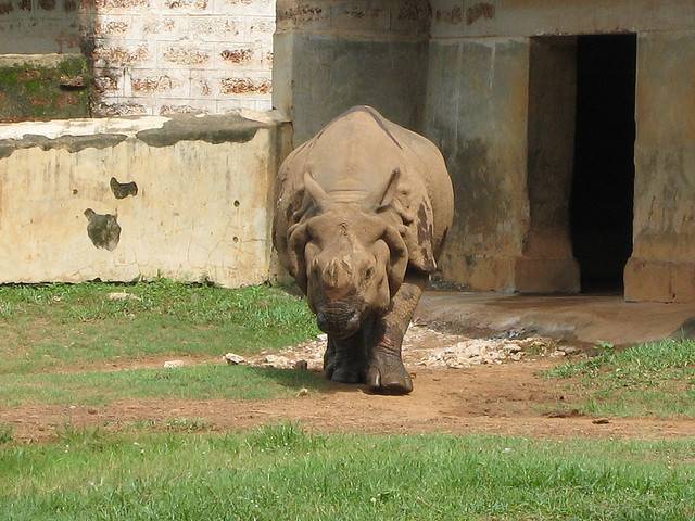 Nandankanan Zoological Park