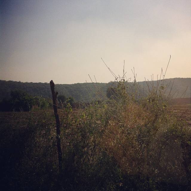 Mahindra Farm, Gurgaon