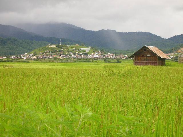 Ziro, Arunachal Pradesh