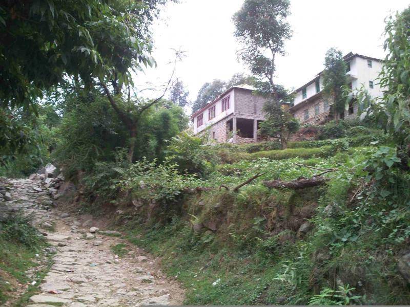 Masterji’s Tribal Heritage Museum