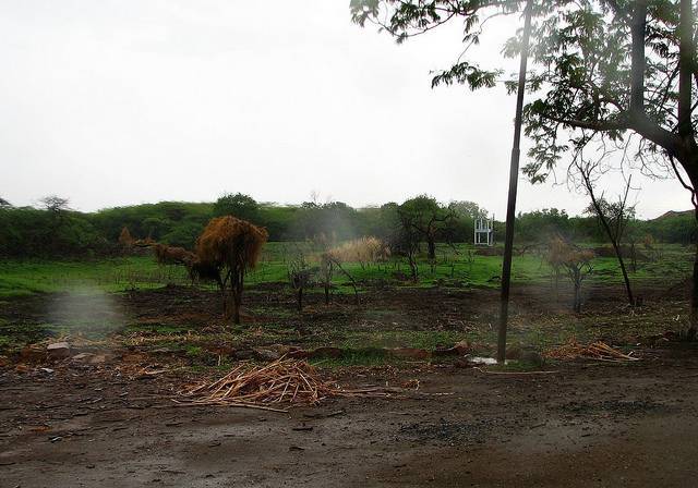 Victoria Park, Bhavnagar