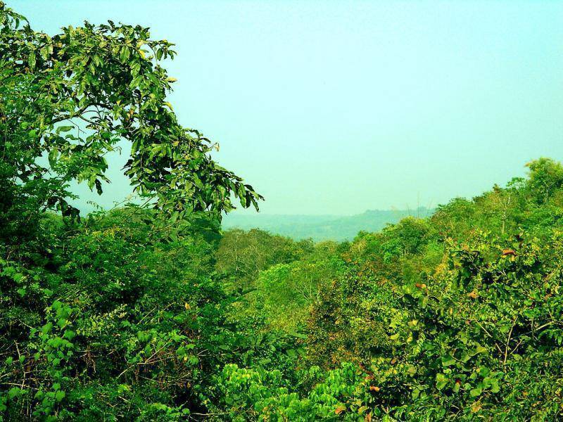 Eturnagaram Wildlife Sanctuary