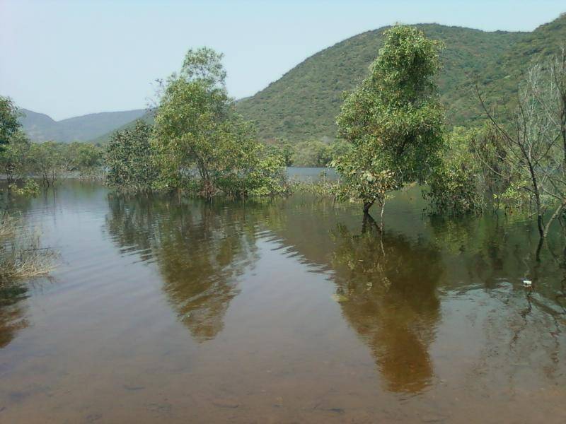 Kambalakonda Wildlife Sanctuary