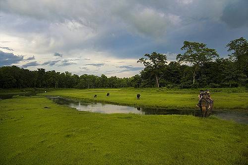 Chitwan National Park