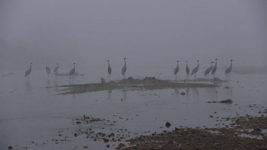 Jagdishpur Reservoir