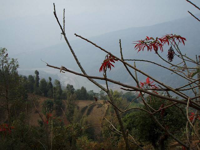 Arun Valley, Nepal