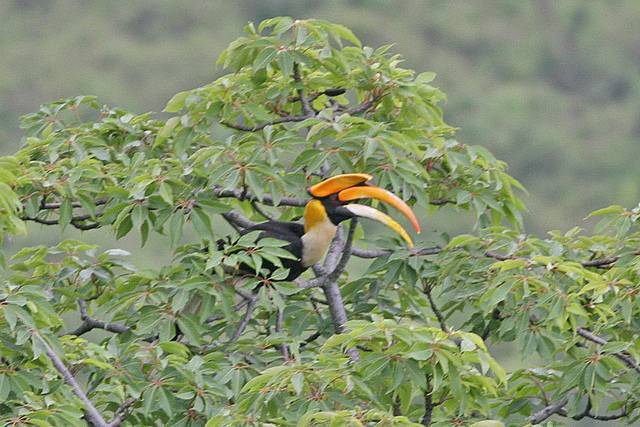 Sakteng Wildlife Sanctuary