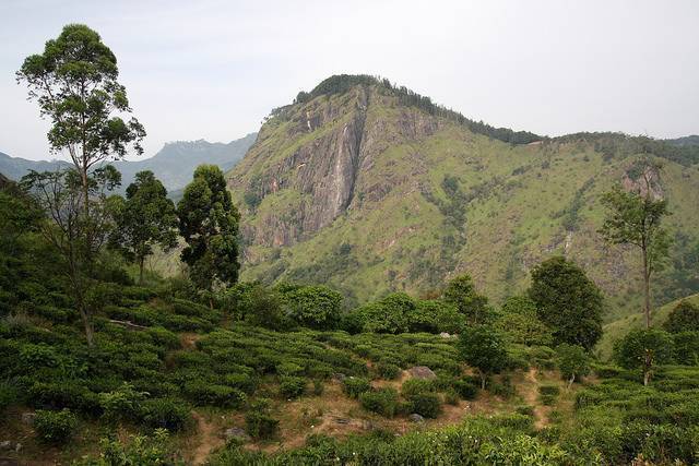 Little Adam's Peak, Ella